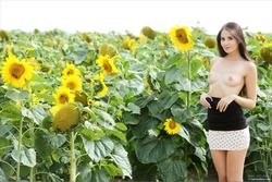 Vanessa A - The Tallest Sunflower-u5f9taih7t.jpg