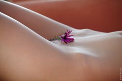Guerlain - Purple Flower-t5inobaxwg.jpg