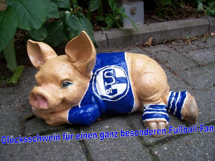 Schalke 04 Glcksschwein