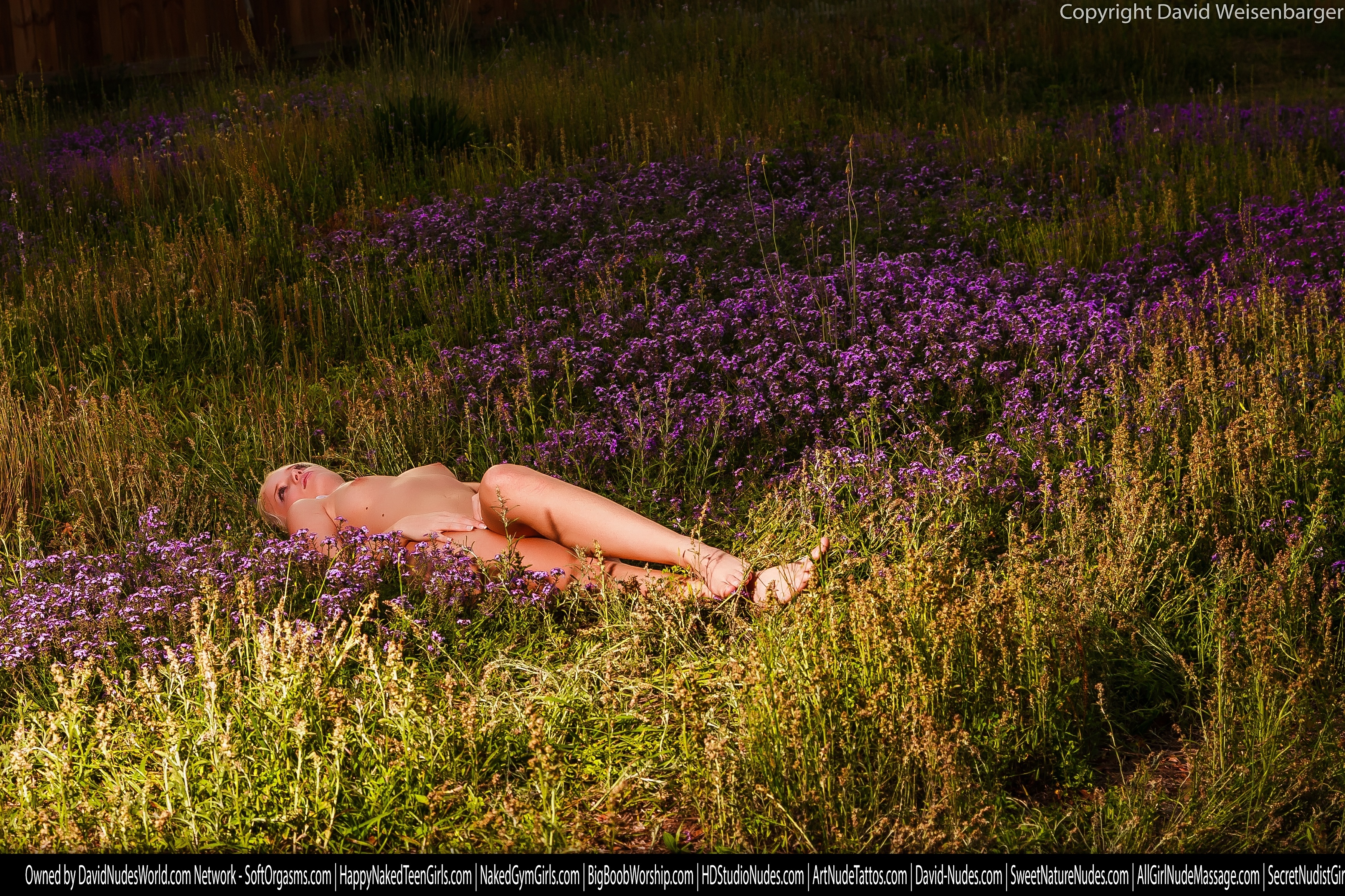 tatyana purpleflowers 3 556